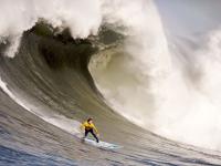 FBsports-跨界传奇，当雷恩稳稳拿下马赛，伊布在NBA季后赛接管比赛