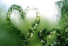 FB体育APP-包含托特纳姆热刺后场稳固，制造对手困扰的词条