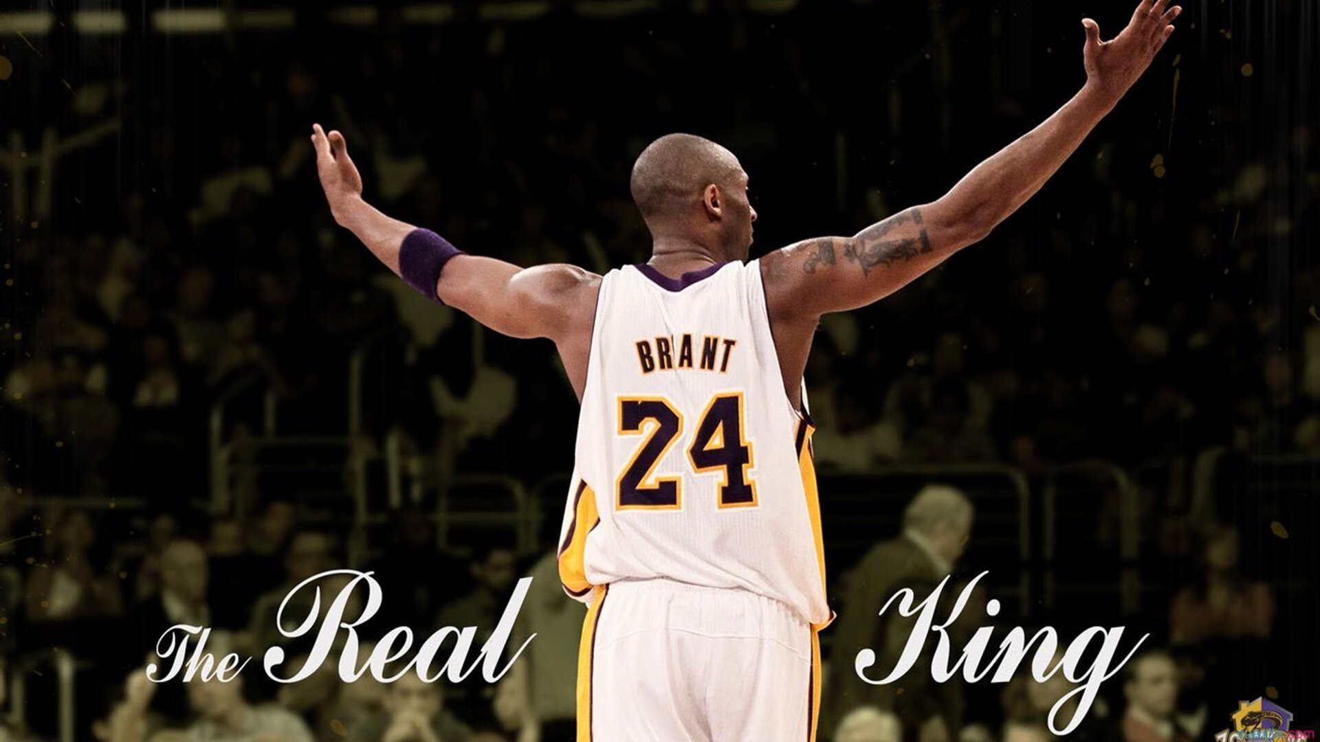 克瓦拉茨赫利亚闪耀全场，伊拉克对阵雷恩赛后评分拉满的战术启示